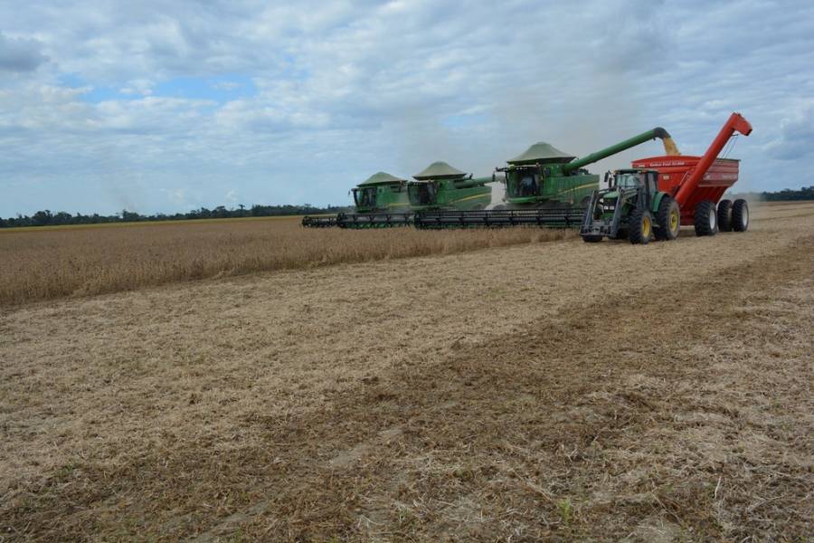 Con preocupaciones climáticas, Rondônia hasta ahora solo ha cosechado el 15% de sus 403.000 hectáreas con soja