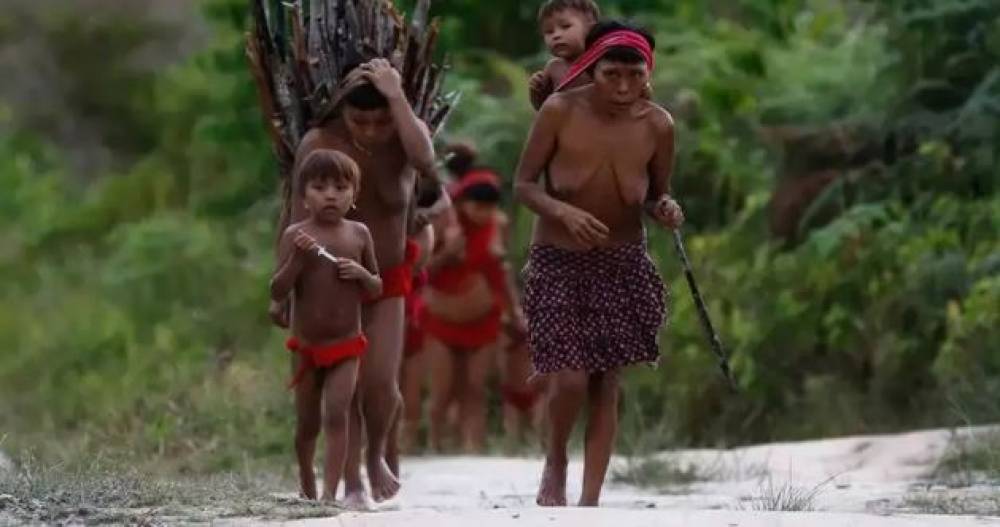 SAINDO DAS MATAS: aparecimento de oito indígenas isolados em Rondônia preocupa Funai e indigenistas